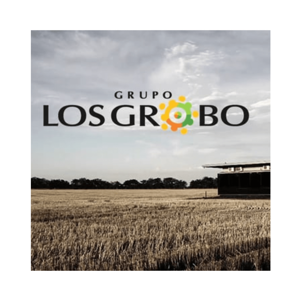 Los Grabo